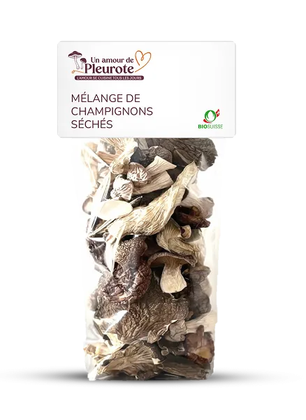 Mélange de champignons séchés